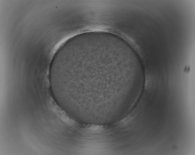X0000111861174200909031744