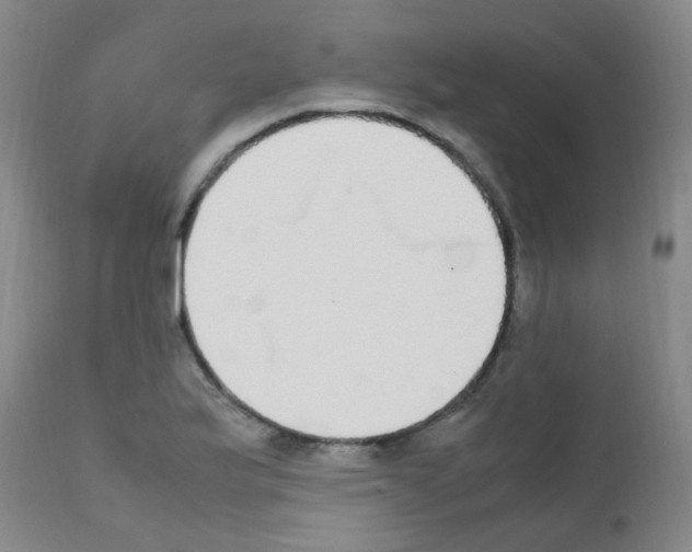 X0000111861175200909031744
