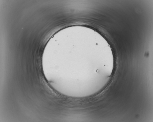 X0000111861177200909031744