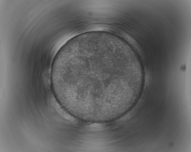 X0000111861178200909031744