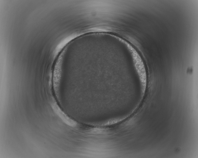 X0000111861179200909031744
