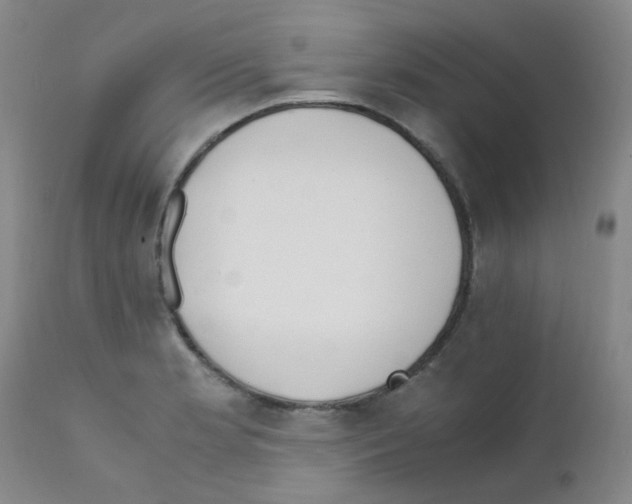 X0000111861181200909031744