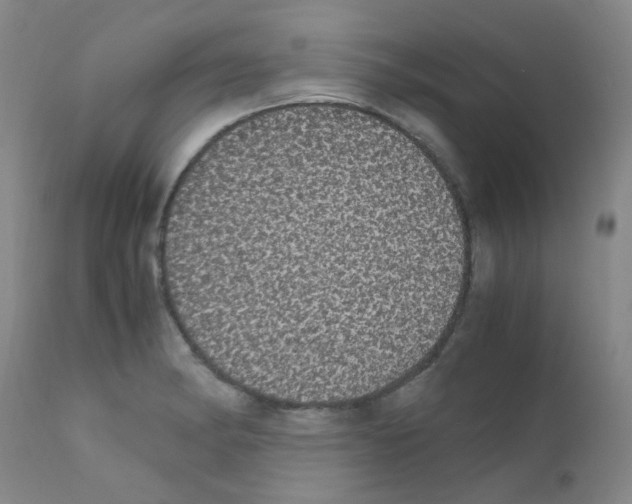 X0000111861182200909031744