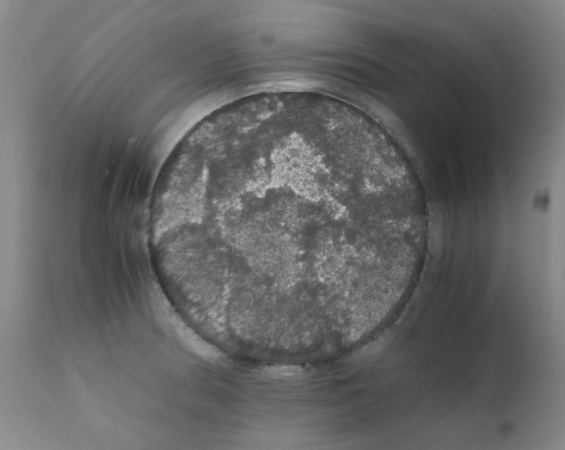 X0000111861186200909031744