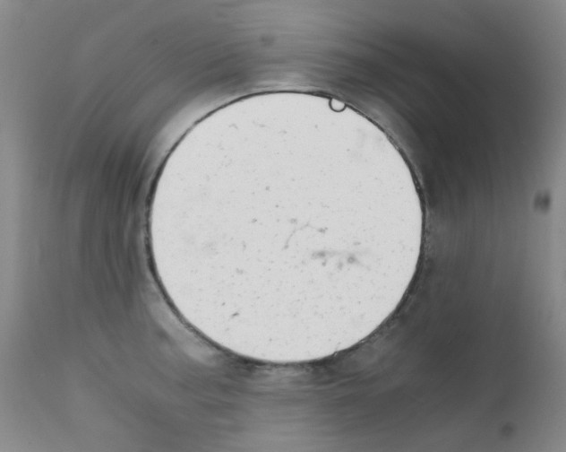 X0000111861187200909031744