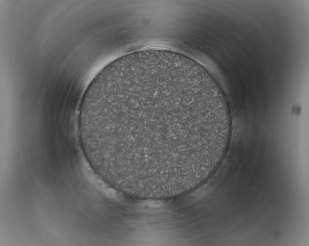 X0000111861190200909031744
