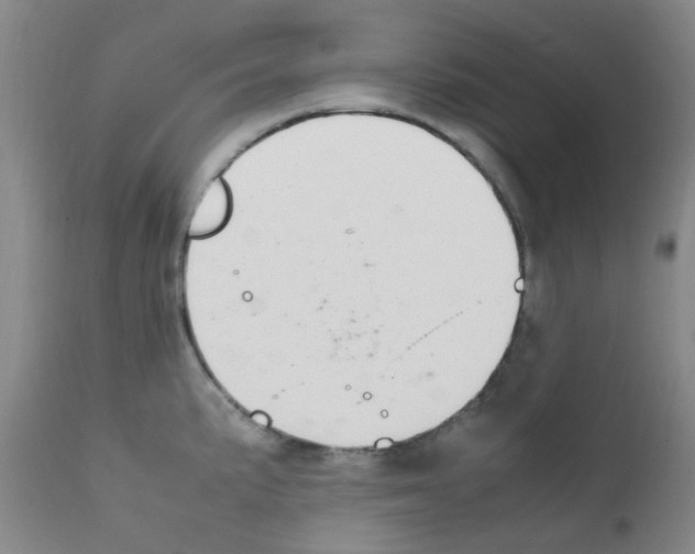 X0000111861191200909031744