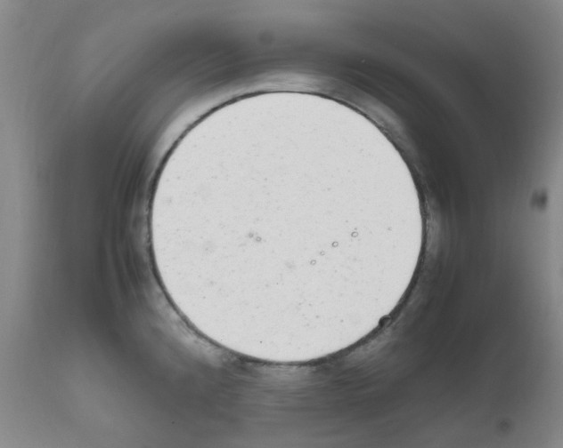 X0000111861192200909031744