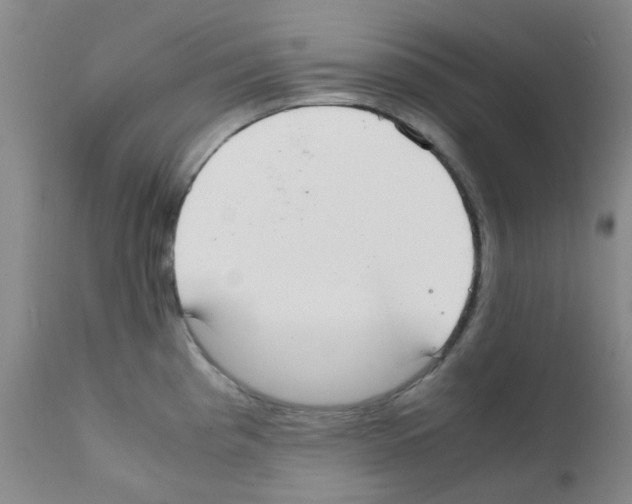 X0000111861193200909031744