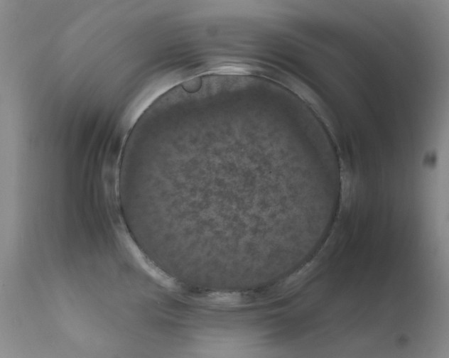 X0000111861194200909031744