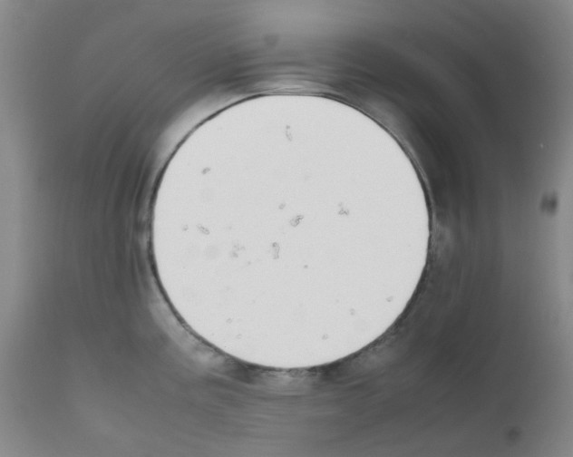 X0000111861195200909031744