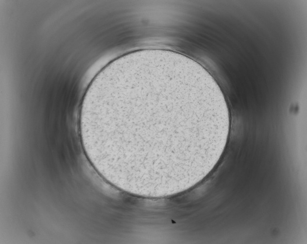X0000111861196200909031744