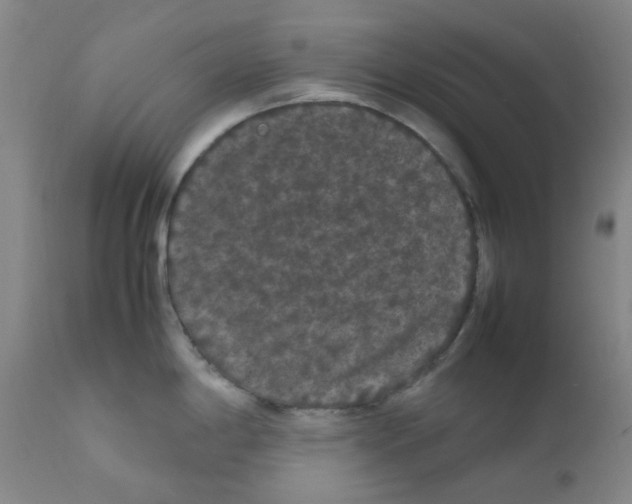 X0000111861198200909031744
