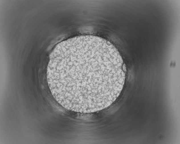 X0000111861201200909031743