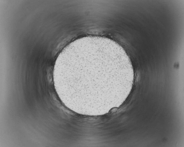 X0000111861202200909031743
