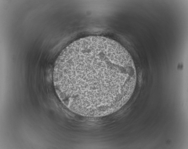 X0000111861204200909031743