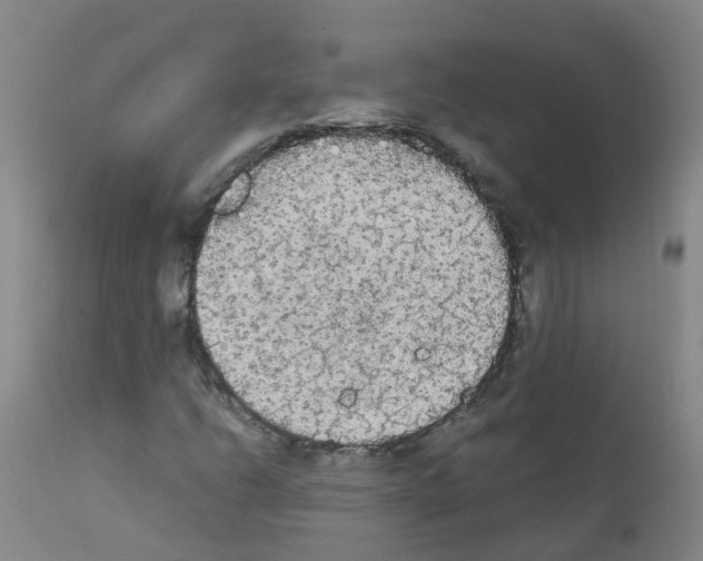 X0000111861206200909031743