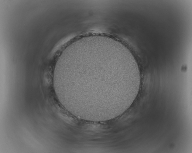 X0000111861207200909031743