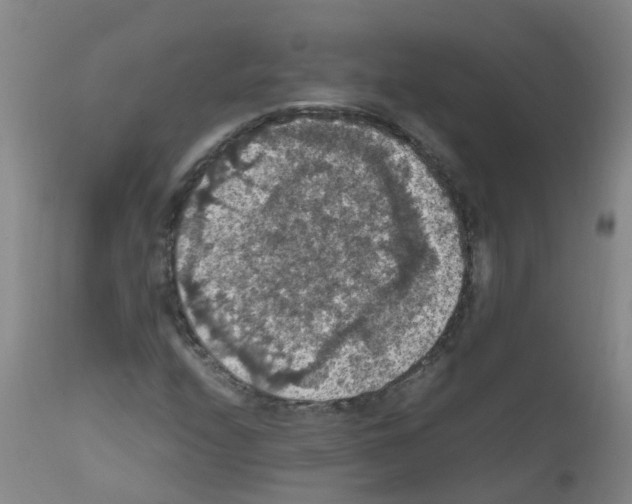 X0000111861208200909031743