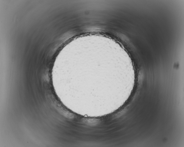 X0000111861209200909031743