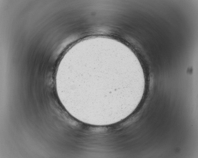 X0000111861210200909031743