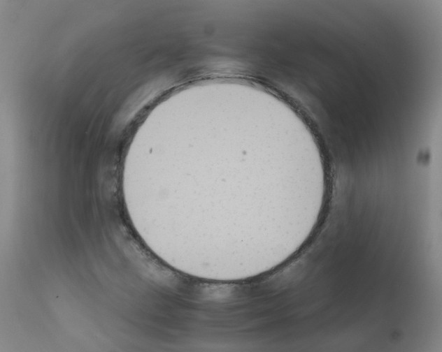 X0000111861211200909031743