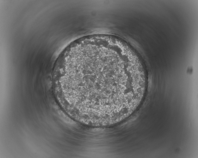 X0000111861212200909031743