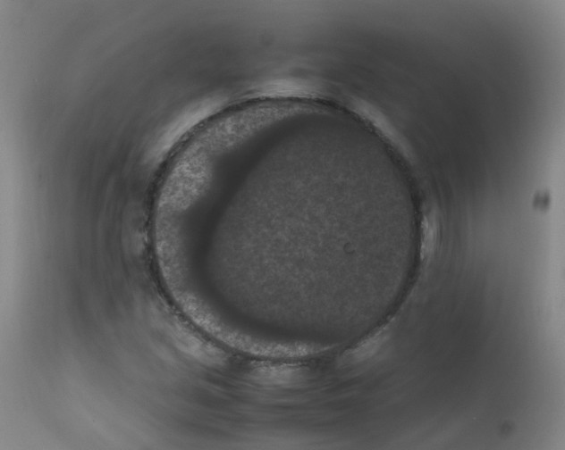 X0000111861213200909031743