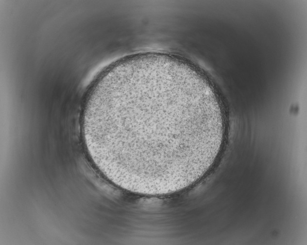 X0000111861214200909031743