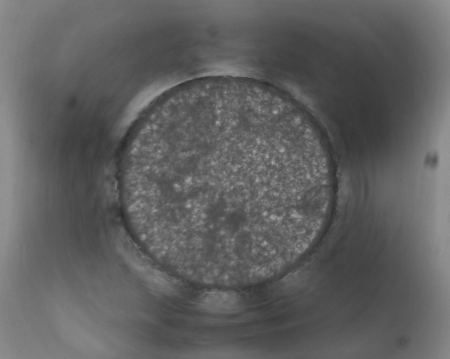 X0000111861215200909031743