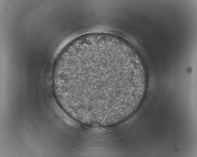 X0000111861216200909031743