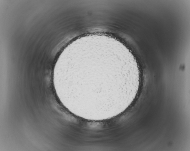 X0000111861217200909031743