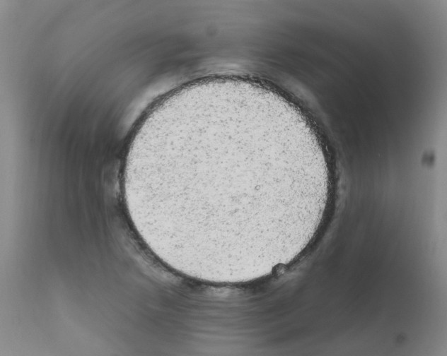 X0000111861218200909031743