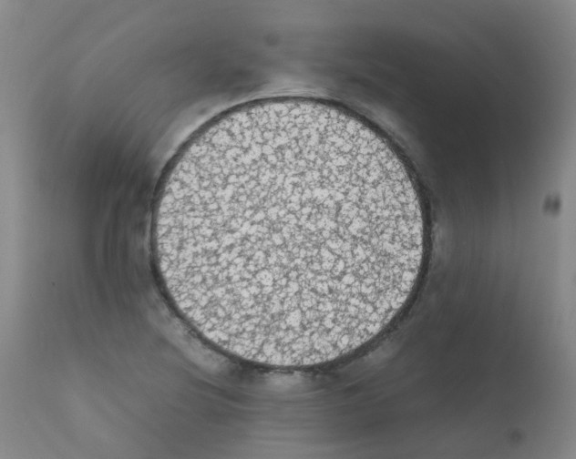 X0000111861220200909031743