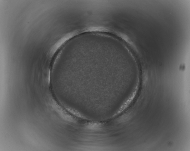 X0000111861221200909031743