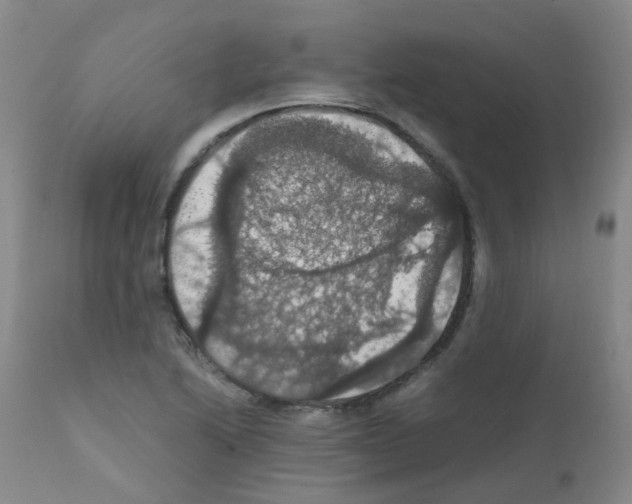 X0000111861222200909031743