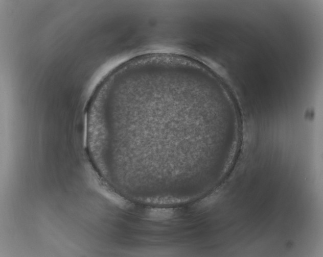X0000111861223200909031743