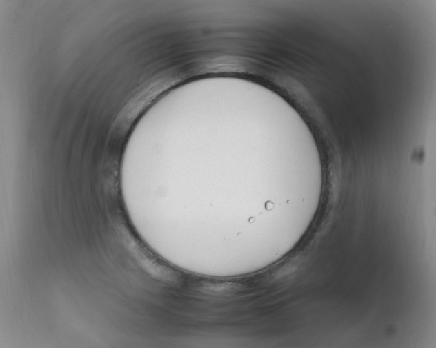X0000111861225200909031743