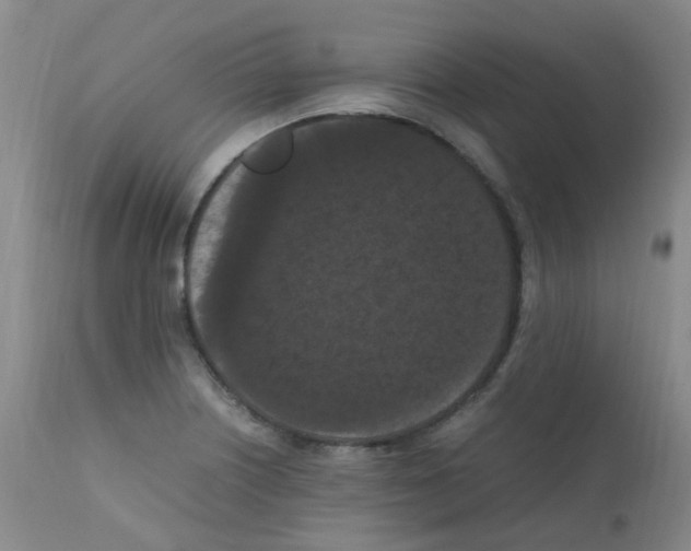 X0000111861226200909031743