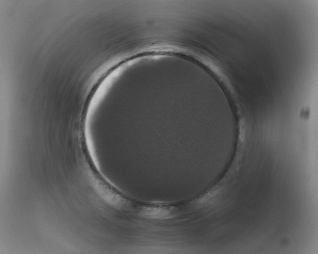 X0000111861229200909031743