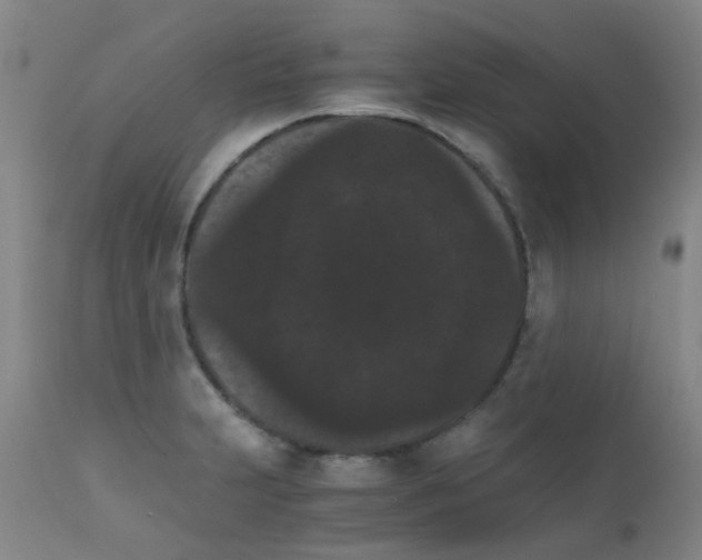 X0000111861231200909031743