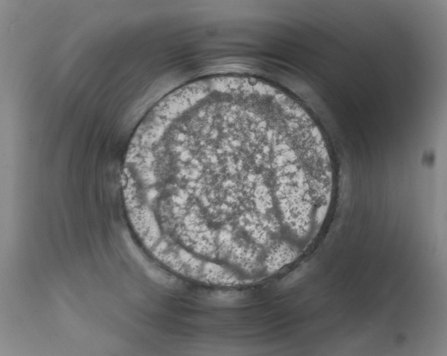 X0000111861233200909031743