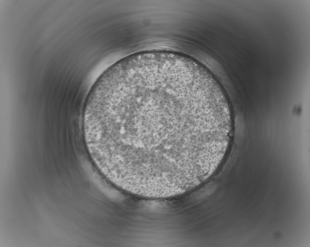 X0000111861234200909031743