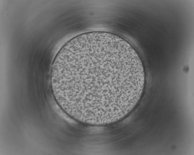 X0000111861236200909031743