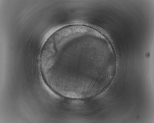 X0000111861239200909031744
