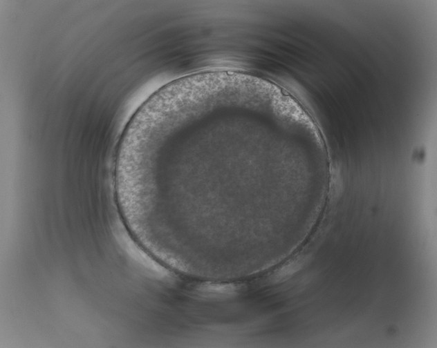X0000111861243200909031744