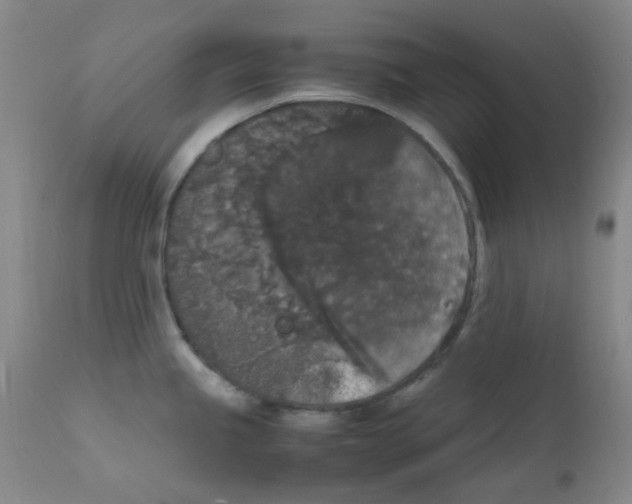 X0000111861245200909031744