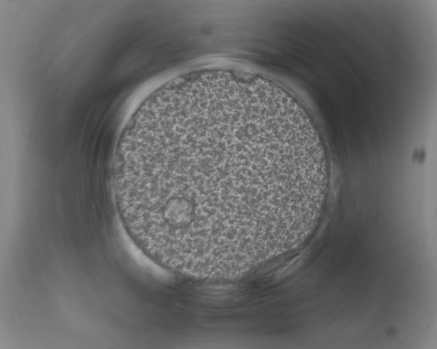 X0000111861247200909031744