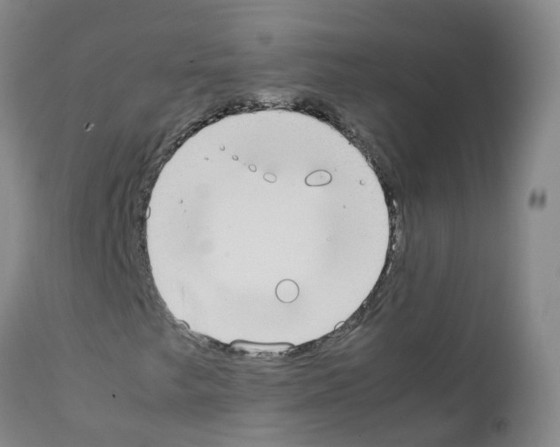 X0000111861249200909031743