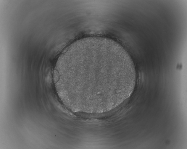 X0000111861250200909031743